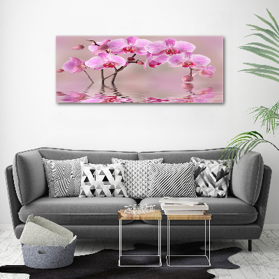 Quadro vetro acrilico Orchidea rosa