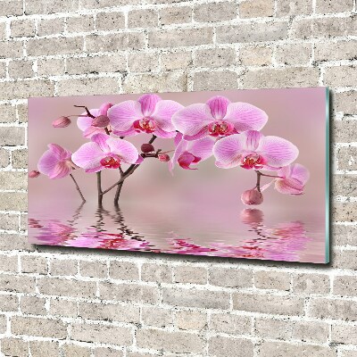 Quadro vetro acrilico Orchidea rosa