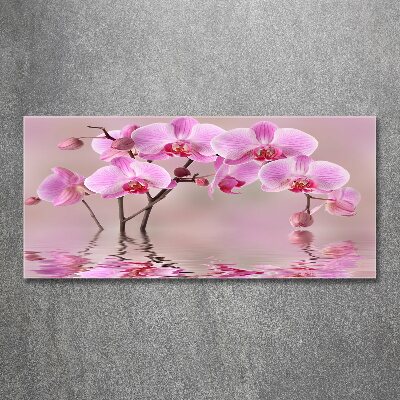 Quadro vetro acrilico Orchidea rosa