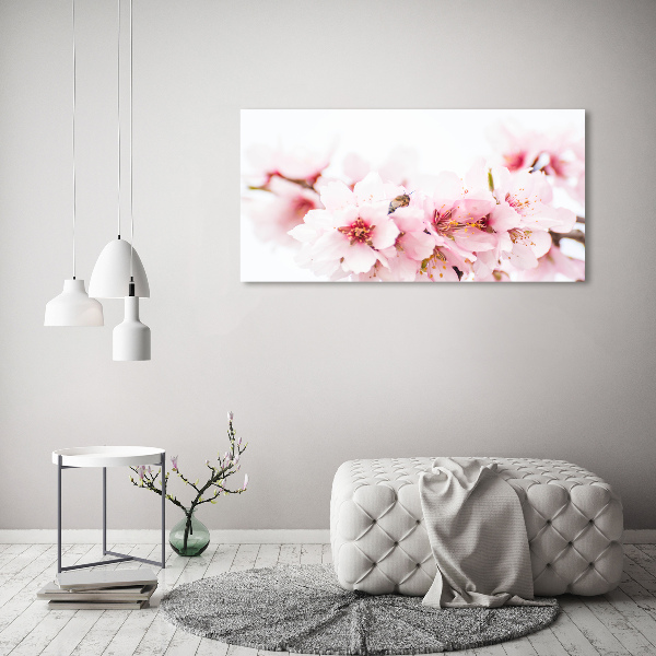Quadro in vetro acrilico Fiori di ciliegio
