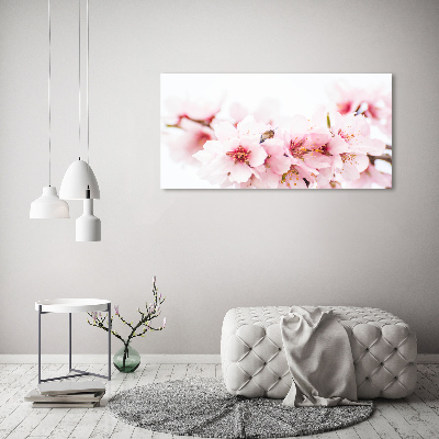 Quadro in vetro acrilico Fiori di ciliegio
