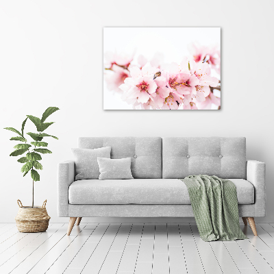 Quadro in vetro acrilico Fiori di ciliegio
