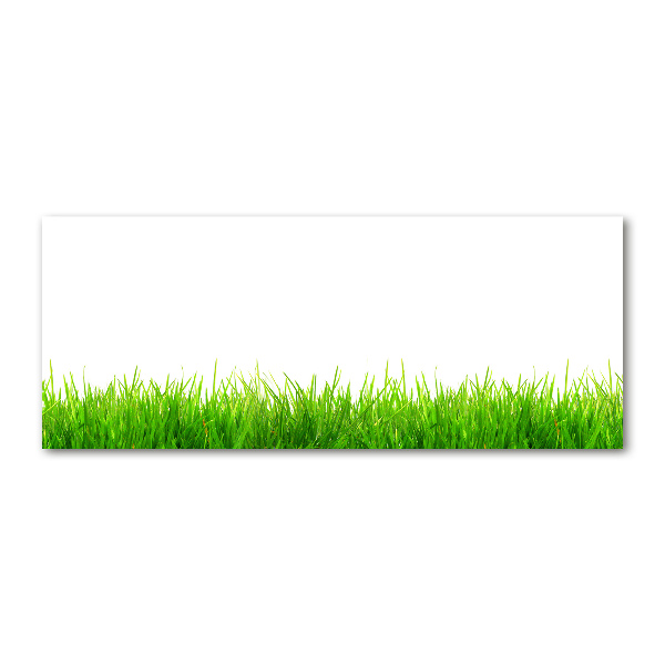 Quadro vetro acrilico Erba