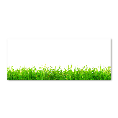 Quadro vetro acrilico Erba