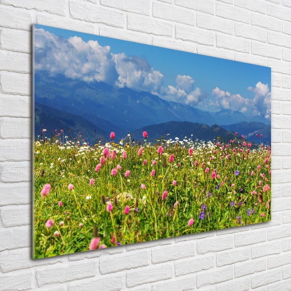 Quadro in vetro acrilico Prato in montagna