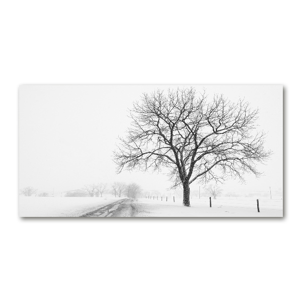 Quadro vetro acrilico Albero in inverno