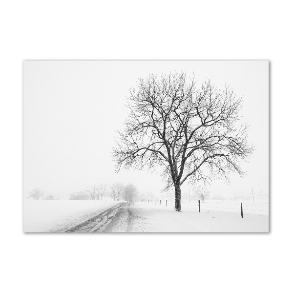 Quadro vetro acrilico Albero in inverno