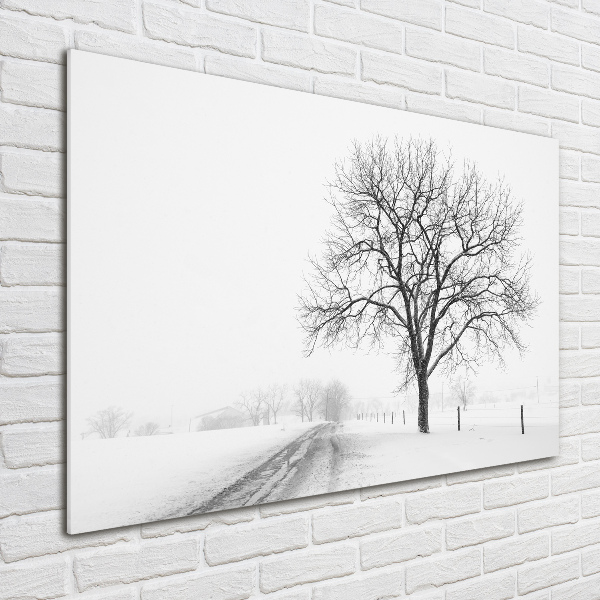 Quadro vetro acrilico Albero in inverno