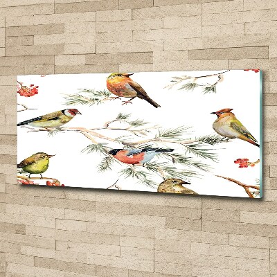 Quadro vetro acrilico Uccelli della foresta, piante