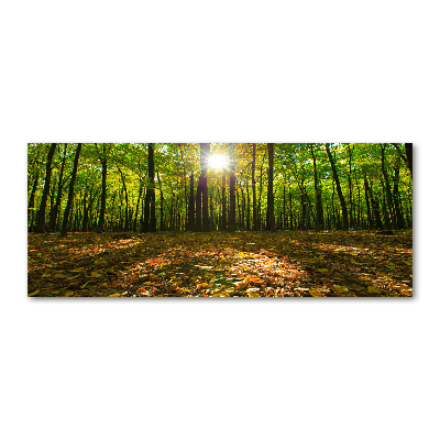 Quadro vetro acrilico Foresta