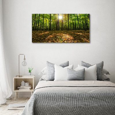 Quadro vetro acrilico Foresta