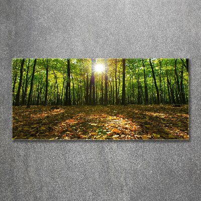 Quadro vetro acrilico Foresta