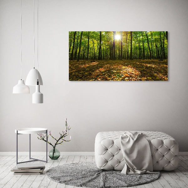 Quadro vetro acrilico Foresta