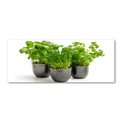 Quadro su vetro acrilico Erbe aromatiche in vaso