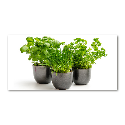 Quadro su vetro acrilico Erbe aromatiche in vaso