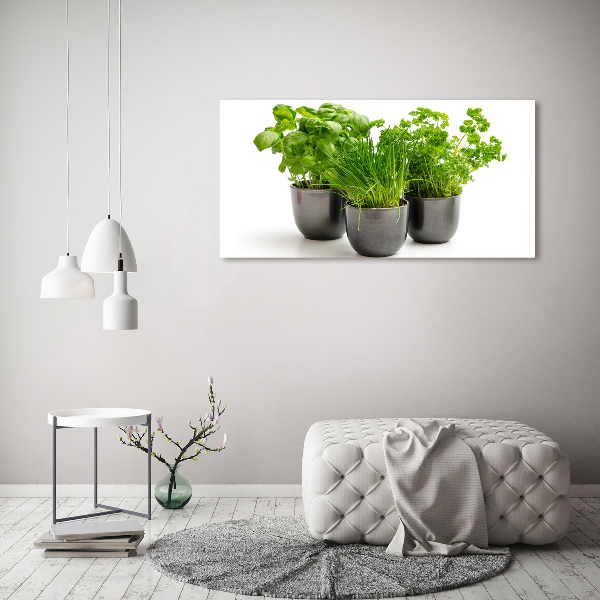 Quadro su vetro acrilico Erbe aromatiche in vaso