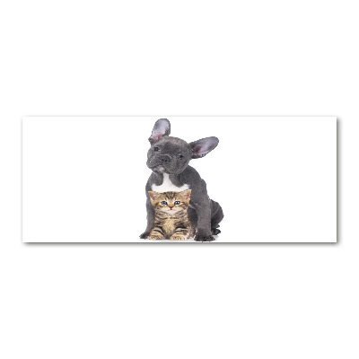 Quadro su vetro acrilico Cane e gatto