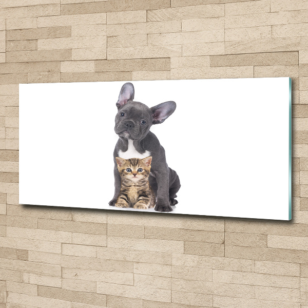 Quadro su vetro acrilico Cane e gatto
