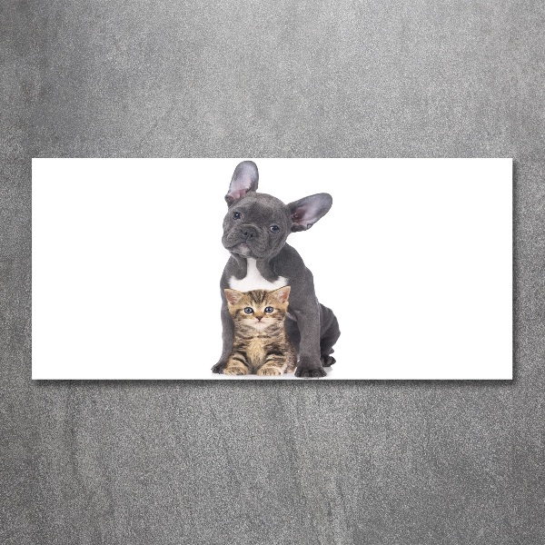 Quadro su vetro acrilico Cane e gatto