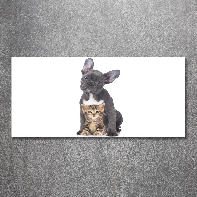 Quadro su vetro acrilico Cane e gatto