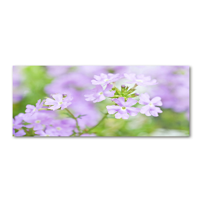 Quadro vetro acrilico Verbena