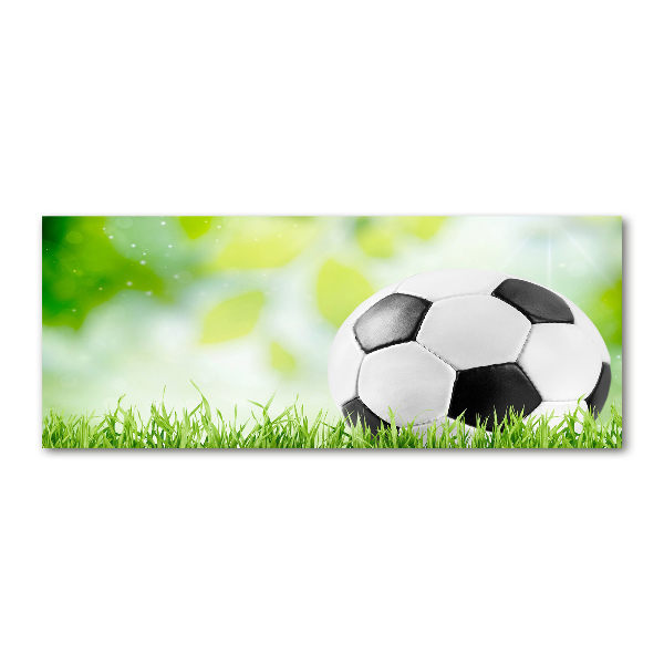 Quadro in vetro acrilico Calcio