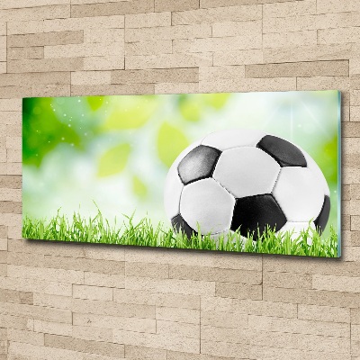 Quadro in vetro acrilico Calcio