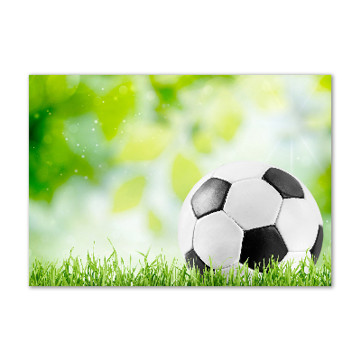 Quadro in vetro acrilico Calcio