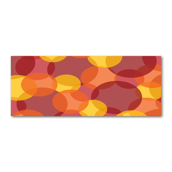 Quadro su vetro acrilico Cerchi colorati