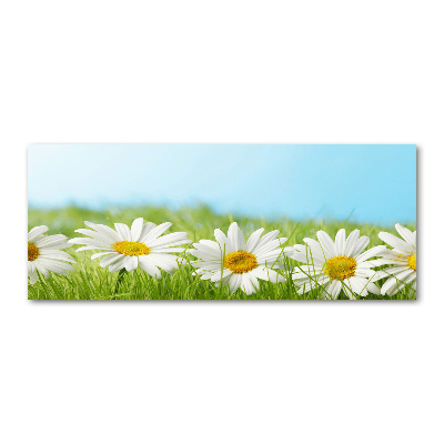 Quadro in vetro acrilico Margherite