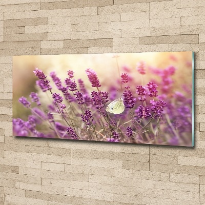 Quadro vetro acrilico Lavanda