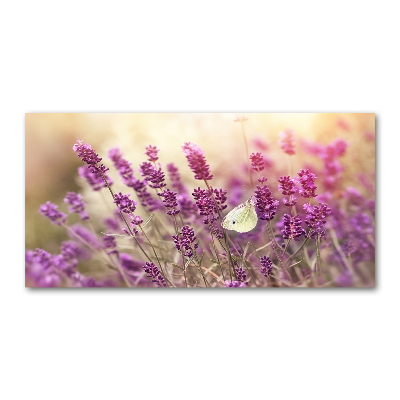 Quadro vetro acrilico Lavanda