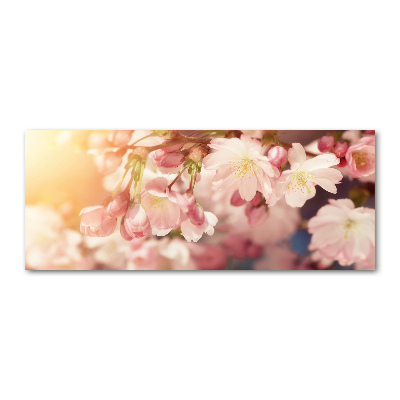 Quadro su vetro acrilico Fiori di ciliegio