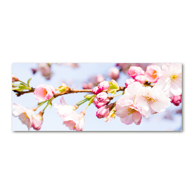 Quadro in vetro acrilico Fiori di ciliegio