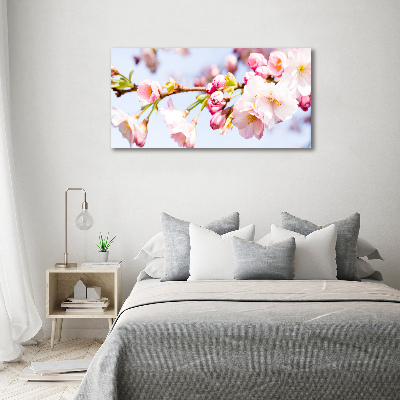Quadro in vetro acrilico Fiori di ciliegio