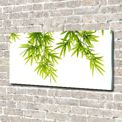 Quadro su vetro acrilico Foglie di bambù