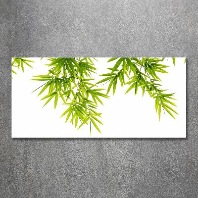 Quadro su vetro acrilico Foglie di bambù