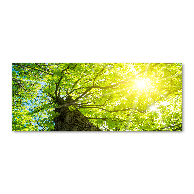 Quadro vetro acrilico Castagna in primavera