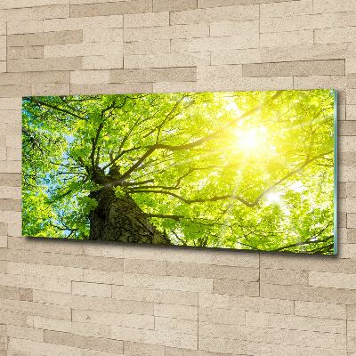 Quadro vetro acrilico Castagna in primavera