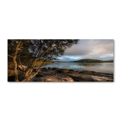 Quadro in vetro acrilico Un albero in riva al fiume