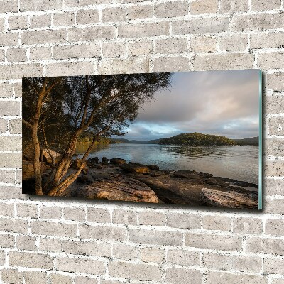 Quadro in vetro acrilico Un albero in riva al fiume