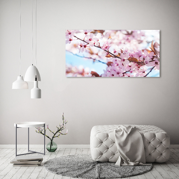 Quadro in vetro acrilico Fiori di ciliegio
