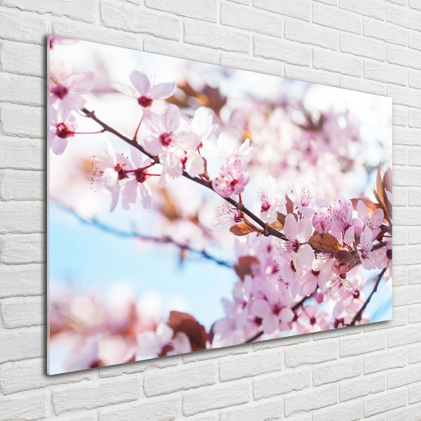 Quadro in vetro acrilico Fiori di ciliegio