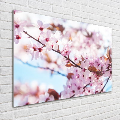 Quadro in vetro acrilico Fiori di ciliegio
