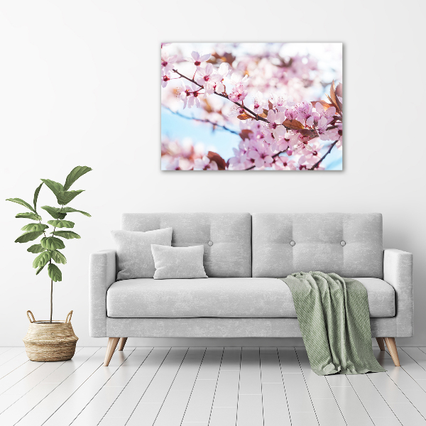 Quadro in vetro acrilico Fiori di ciliegio