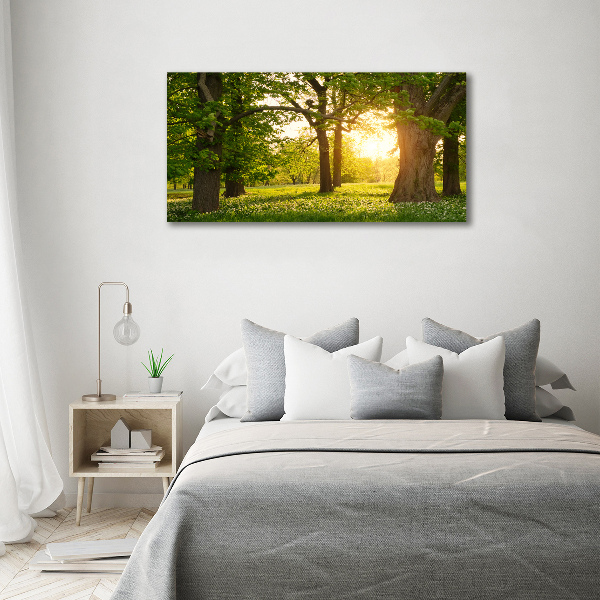 Quadro vetro acrilico Alberi nel parco