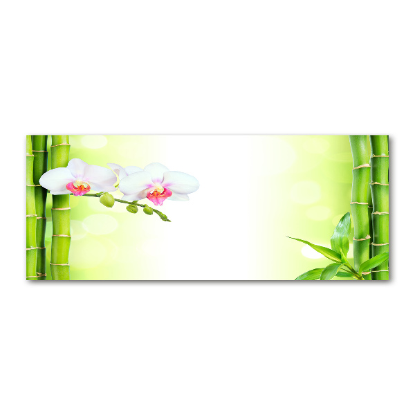 Quadro vetro acrilico Orchidea e bambù