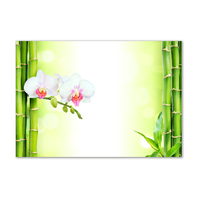 Quadro vetro acrilico Orchidea e bambù