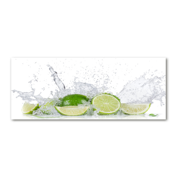 Quadro in vetro acrilico Calce e acqua