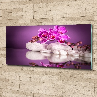 Quadro in vetro acrilico Orchidea rosa